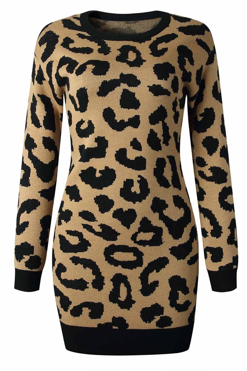 Florcoo Leopard Print Oneck Mini Dress