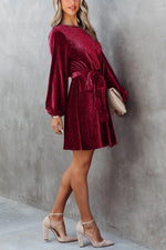 Jessica Pleated Velvet Tie Mini Dress