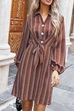 Florcoo Loose Classic Striped Shirt Mini Dress