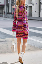 Novakiki Fall Spice Long Sleeve Crochet Knit Mini Dress