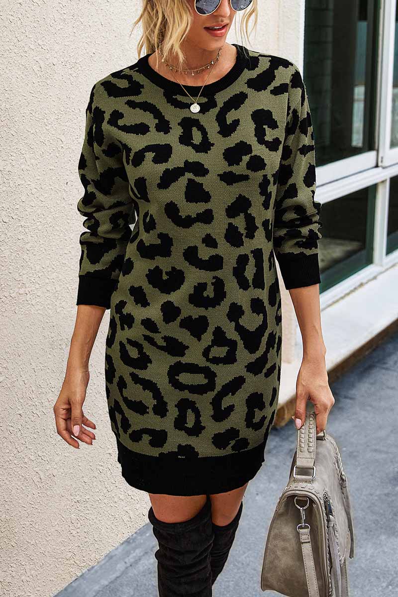 Florcoo Leopard Print Oneck Mini Dress