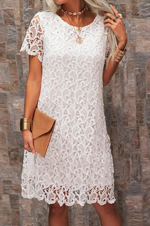 Lace O Neck Short Sleeve Mini Dress