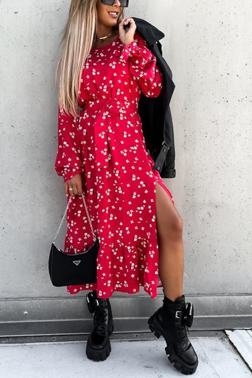 Floral Print Tie Long Sleeve Slit Maxi Dress