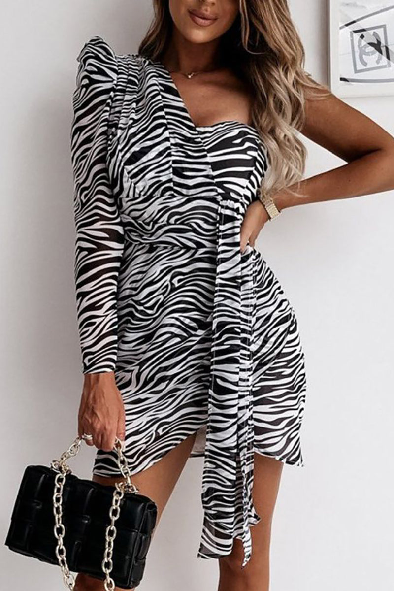 Animal Print One Shoulder Mini Dress