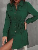 Women's Dresses Commuter Lapel Lace Solid Mini Dress