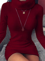 Women's Dresses High Neck Skinny Long Sleeve Mini Dress